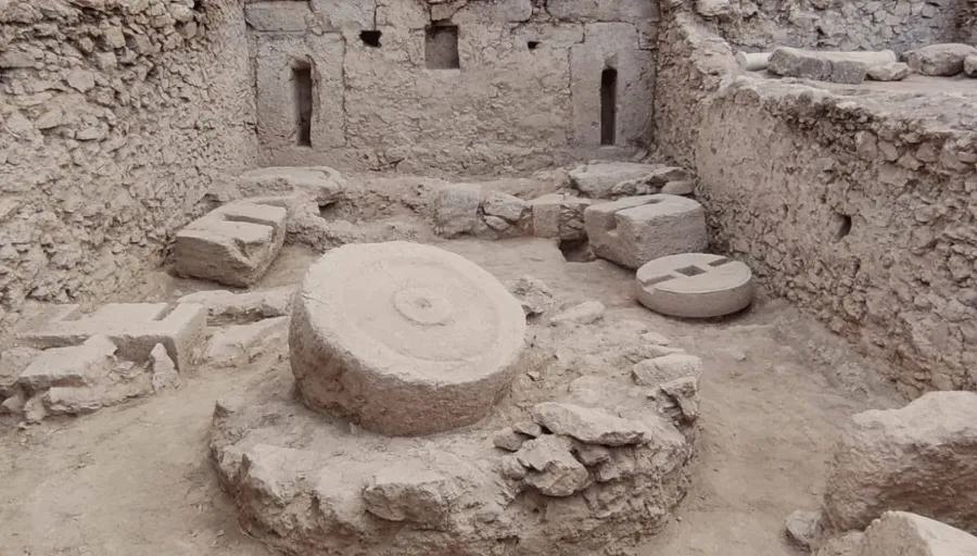 Nature Safari photo 14